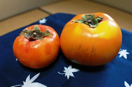 太秋柿と冨有柿の画像1