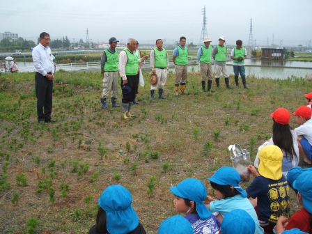 H25山田錦お田植え(常永小&第2上保)の画像1