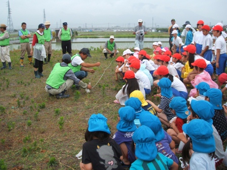 H25山田錦お田植え(常永小&第2上保)の画像2