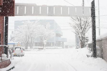 雪の総合会館