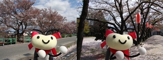 ほたるん3