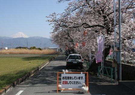通行止め看板