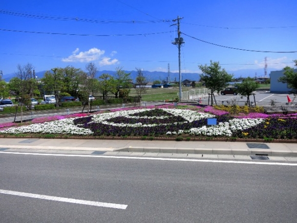 図書館南花壇2016春の画像1