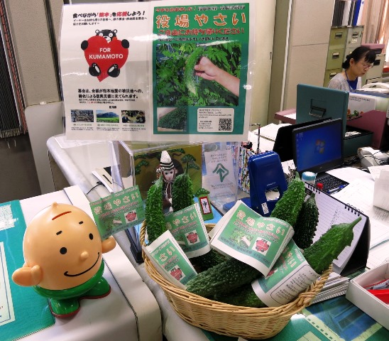 緑のカーテン2016　熊本支援　3