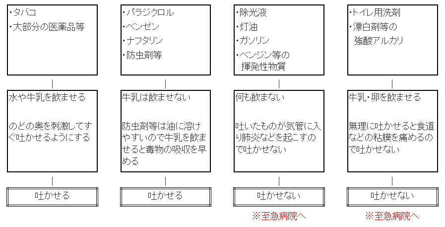 誤飲の際の対応のポイントの画像