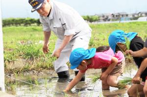 20230608 すっきりしょうわお田植え_山田錦（第二上河東保育園）