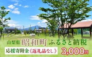 3000円
