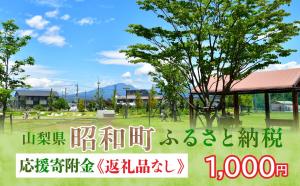 返礼品なし