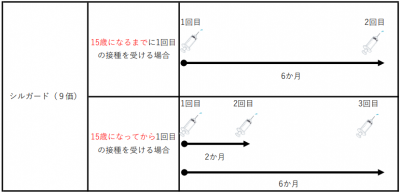 HPV標準接種時期の図