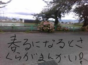 3-2-8　山伏川（河東中島）.jpg