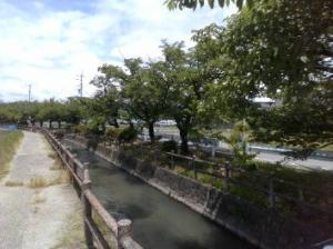 3-3-16 今川(阿原).jpg