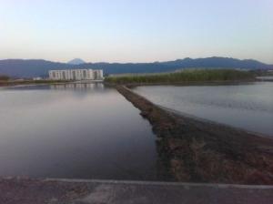 3-3-11 富士山が見える景色(阿原).jpg