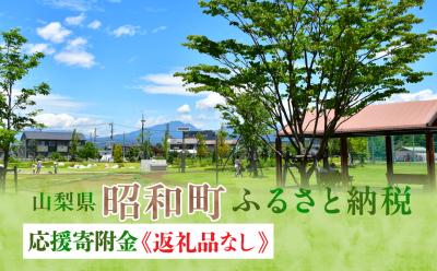 返礼品なし