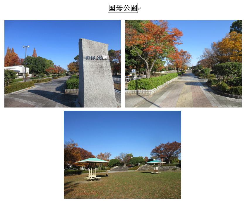 国母公園